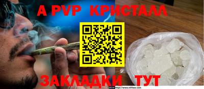 крисы Малгобек