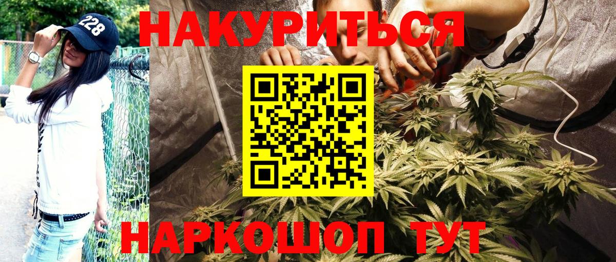 Шишки марихуана семена Дербент
